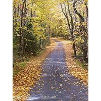 Gifts Delight Laminated 24x32 inches Poster: Country Road Fall Landscape Wilderness Scenery Natural Wild Outdoor Environment View Scenic Land Nature