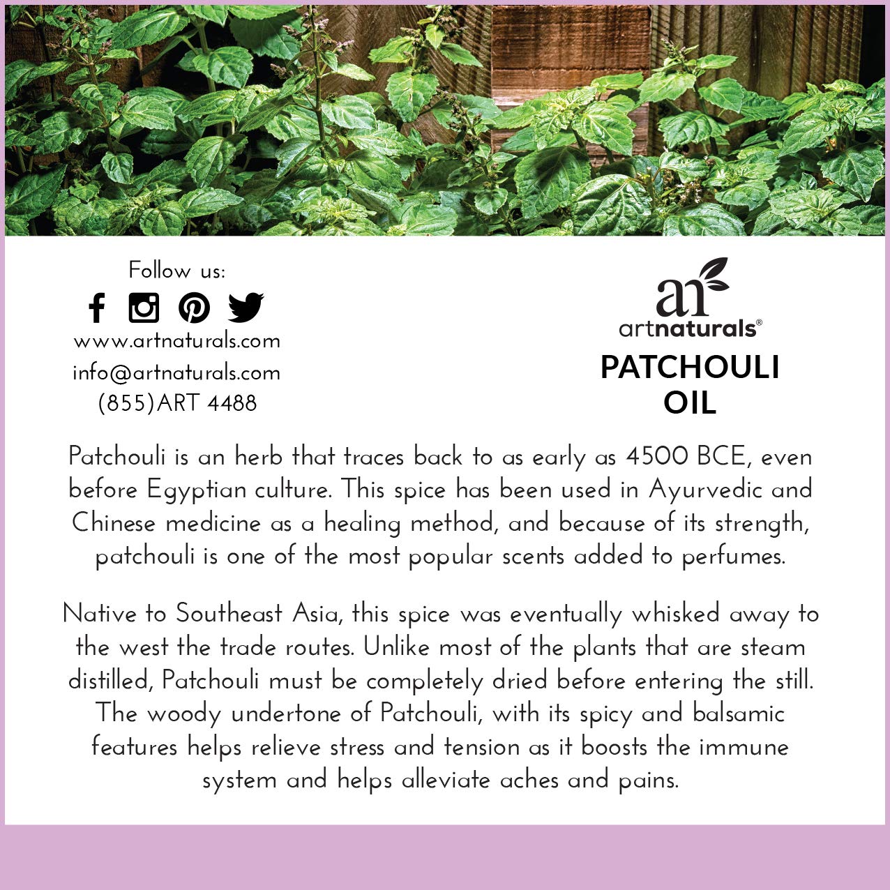 artnaturals 100% Pure Patchouli Essential Oil - (.5 Fl Oz / 15ml) - Undilued Therapeutic Grade Fragrance Oil - Soothe Balance and Comfort - for Diffuser, Skin, Body and Perfume