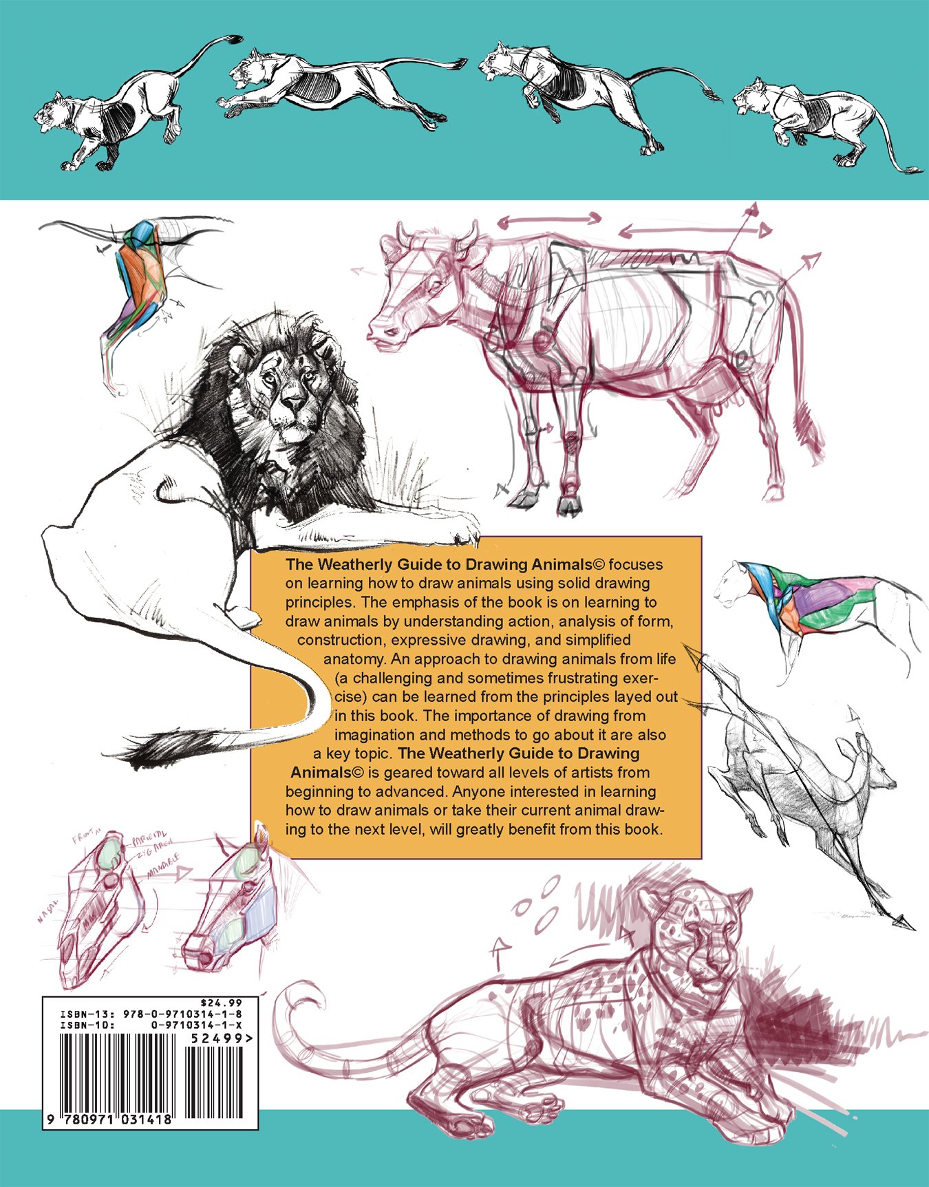 Mua The Weatherly Guide to Drawing Animals trên Amazon Mỹ chính hãng