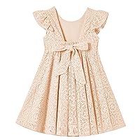 Rysly Toddler Girls Backless Flutter Sleeve Lace Party Dress Elastic Waist Bow Kid Casual Dresses
