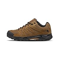 THE NORTH FACE Men's Truckee Hiking Shoe
