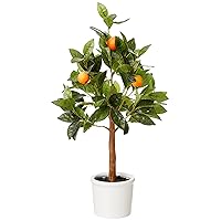 Amazon Brand - Stone & Beam Artificial Orange Citrus Tree with Ceramic Pot, 2 Feet (24 Inches), Indoor