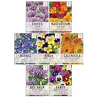 Seed Needs, Edible Wildflower Seed Packet Collection (7 Varieties of Flower Seed for Planting) Non-GMO & Untreated - Includes Viola, Pansies, Chives, Borage, Calendula, Nasturtium and Bee Balm
