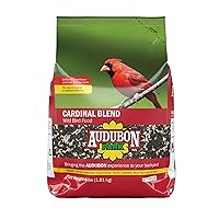 Audubon Park Cardinal Blend Wild Bird Food, Cardinal Bird Seed for Outside Feeders, 4-Pound Bag