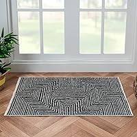 Washable Area Rug, Stain Resistant, Easy to Clean, Black/White Geometric Boho Décor, for Living Room, Bedroom, Office (2' x 3', Panther Collection)