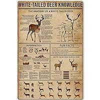 Metal Tin Sign White-Tailed Deer Knowledge Hunting Knowledge Poster Unplaning Infographics Farmhouse Farm Home Kitchen Club Wall Plaque 8x12 Inches