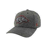 Zephyr Men's NCAA Officially Licensed Hat Somber Fog