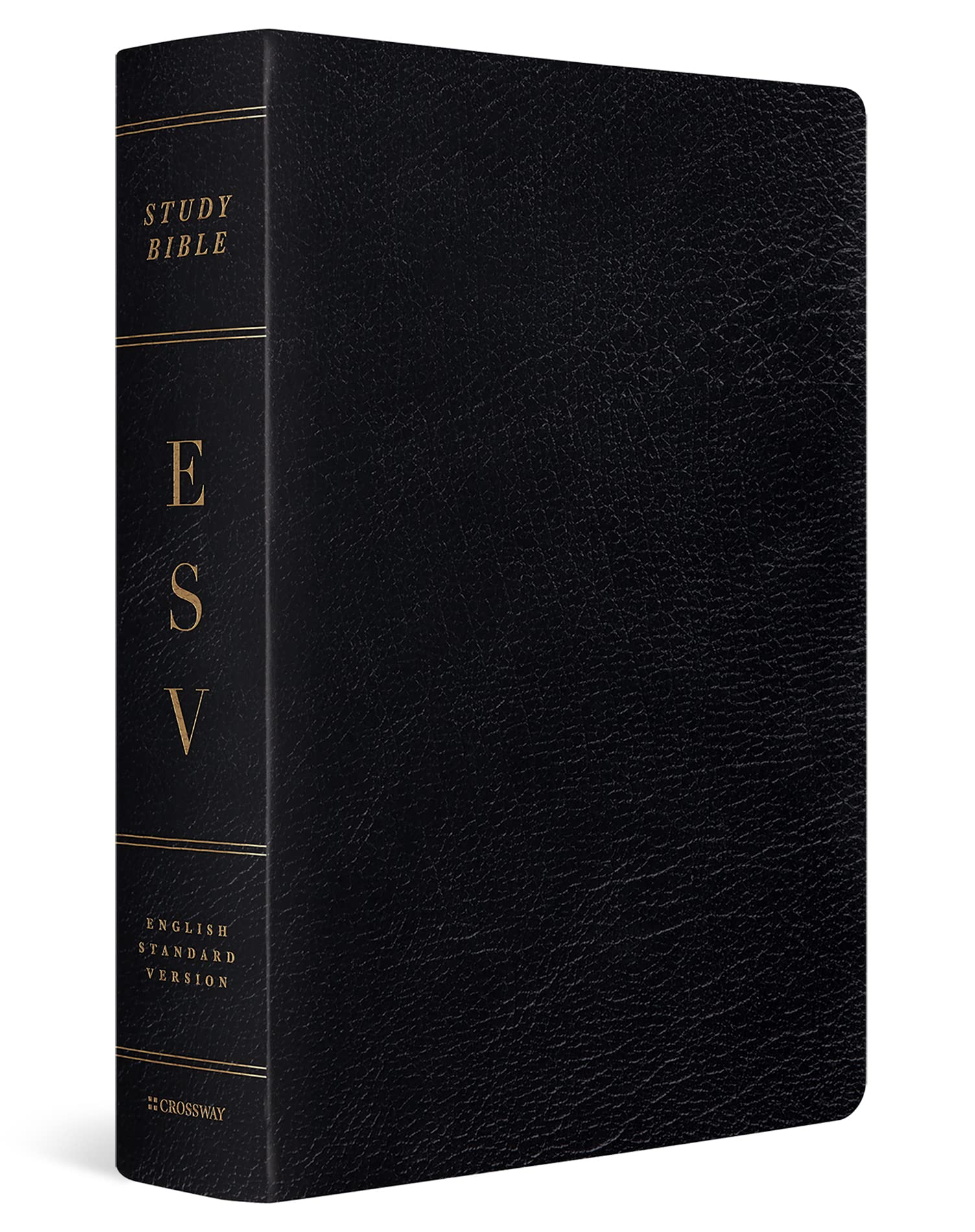 ESV Study Bible, Large Print (Black)