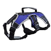 No-Pull Dog Harness - Padded, Mesh Fabric Dog Vest with Reflective Trim, Lifting Handles, Velcro and Buckle Straps - Blue Dog Harness - S