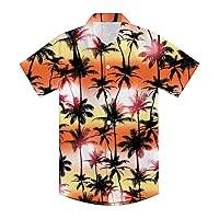 Little & Big Boy's Button Down Hawaiian Shirts Short Sleeve Cool Cartoon Print Dress Tops T-Shirt for Kids 7-14T