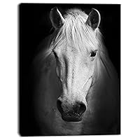 PT13463-30-40 White Horse Black and WhiteExtra Large Animal Artwork, 30 x 40 in