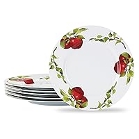 Reston Lloyd Harvest Apple by Sandy Clough, 6pc Melamine Dinner Plate Set, white, red, green