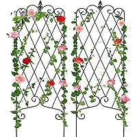 AMAGABELI GARDEN & HOME 2 Pack Garden Trellis for Climbing Plants 60