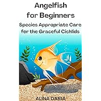 Angelfish for Beginners – Species Appropriate Care for the Graceful Cichlids