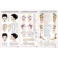 3 Style Standard Meridian Acupuncture Points Chart and ZhenJiu Moxibustion Acupoint Massage Chart for Head Hand Foot Health Care, Hard Roll Pack