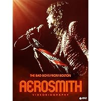Aerosmith: Videobiography