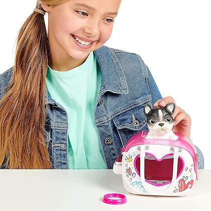 Little Live OMG Pets Have Talent HP Playset
