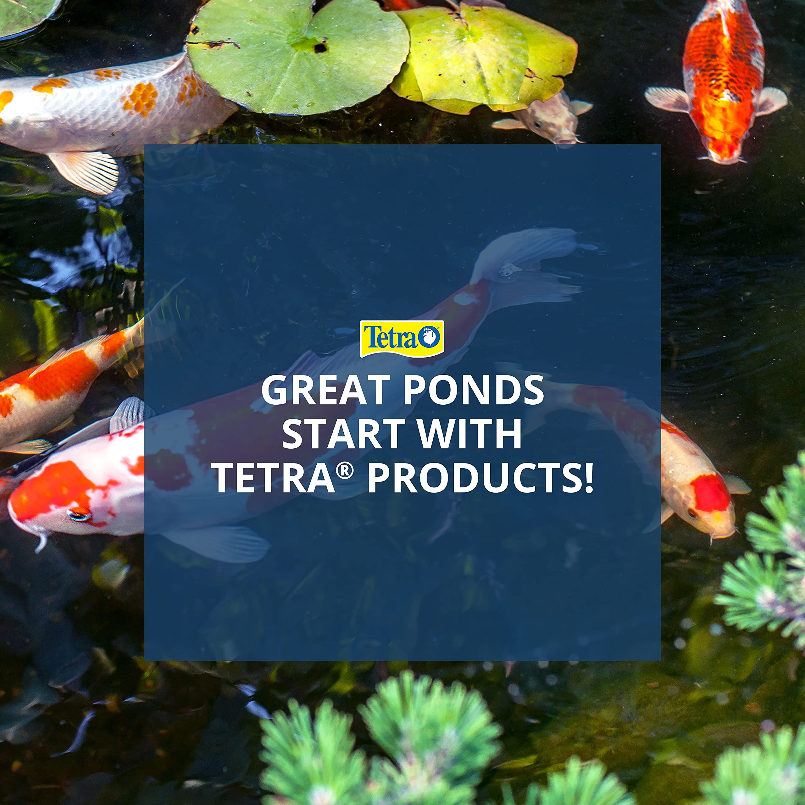 TetraPond Clear Choice Biofilter PF-1 For Efficient Filtration