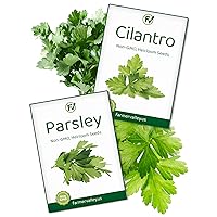 Medicinal and Tea Herb Seeds Variety Pack for Planting Indoors, Outdoors and Hydroponically - USA Grown, Heirloom, Non GMO Herbal Garden Seeds, Including Parsley and Cilantro