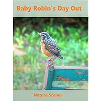 Baby Robin's Day Out