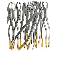 Premium German Dental Extracting Extraction Forceps with Serrated Jaws Used to Extract Upper Lower Right Left 1st 2nd Molars from The Alveolar Bone Dental Instruments (Extracting Forcep Set of 10 Ea)