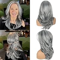 Long Layered Grey Wigs for Women Silver Wavy Wig Natural Looking Hair Replacement Wigs Synthetic Heat Resistant Hair Wig for Daily Party Use