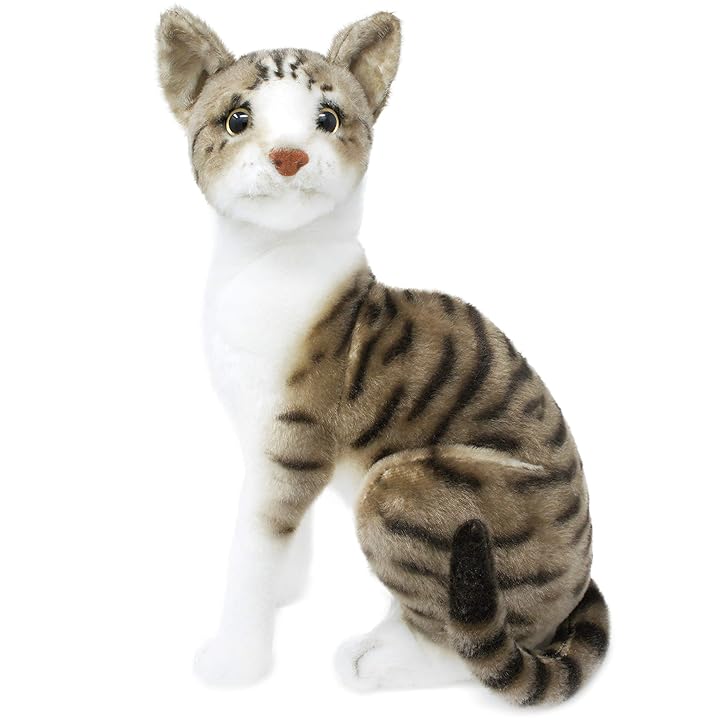 Mua Amy The American Shorthair Cat - 14 Inch Stuffed Animal Plush - by Tiger  Tale Toys trên Amazon Mỹ chính hãng 2023 | Fado