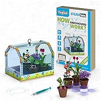 Engino STEAM Labs How Greenhouses Work Construction Toy for Ages 8+