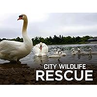 City Wildlife Rescue - Season 1