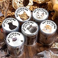 6pcs Decorative Adhesive Tapes Cat Rally PET Tape Great for Bullet Journal Supplies, Arts, Scrapbook, DIY Crafts, Planners (maomijihui)