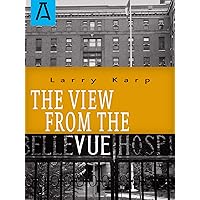 The View from the Vue The View from the Vue Kindle Hardcover Paperback