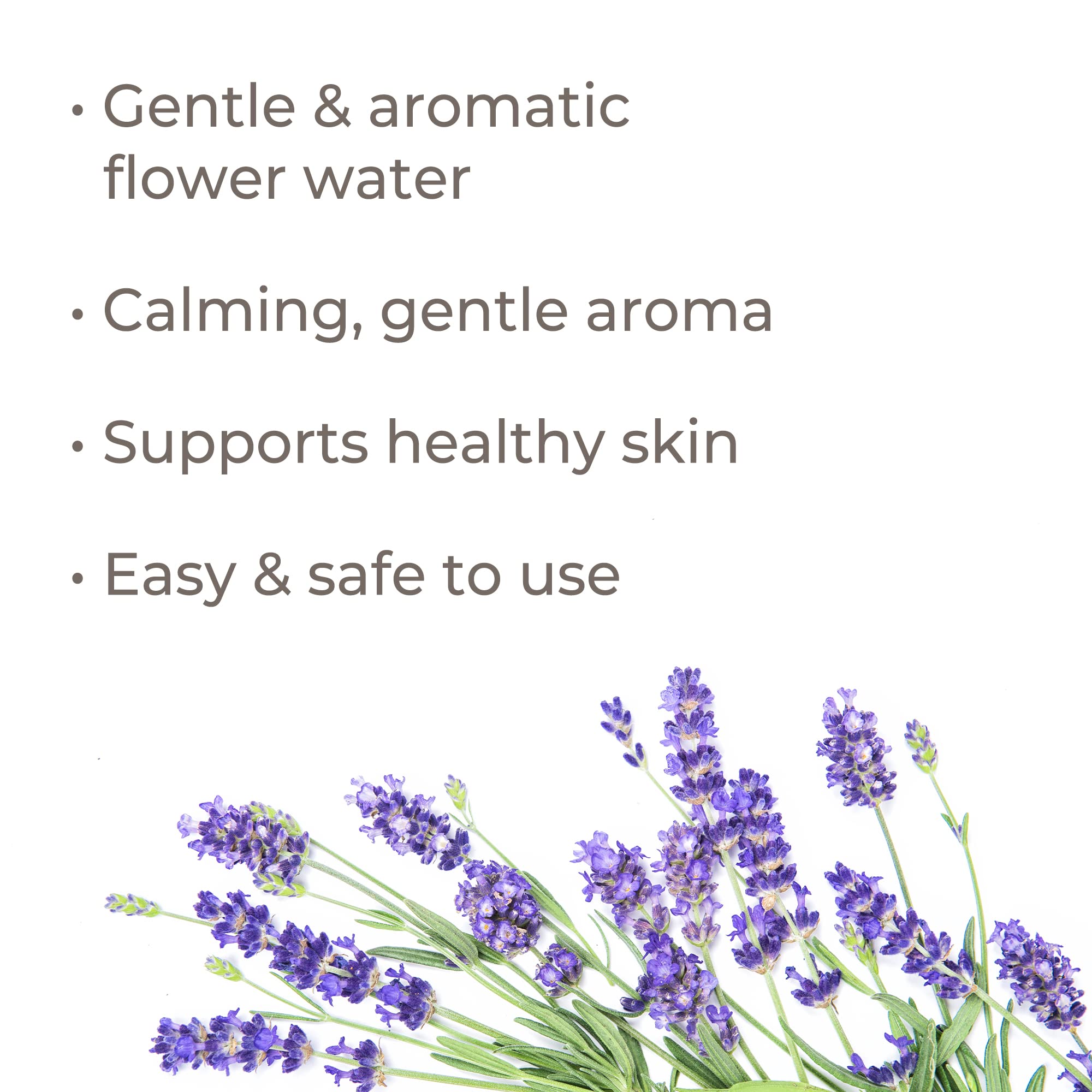 Plant Therapy Lavender Hydrosol 4 oz (Flower Water) by-Product of Essential Oils