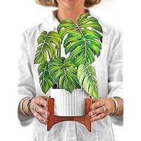 Freshcut Paper Pop Up Cards, Monstera, 12 inch Life Sized Forever Flower Bouquet 3D Popup Greeting Cards with Note Card and Envelope - Paper House Plants