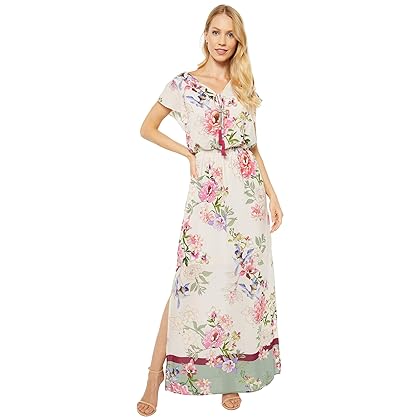 Adrianna Papell Women's Floral Border Print Maxi Dress