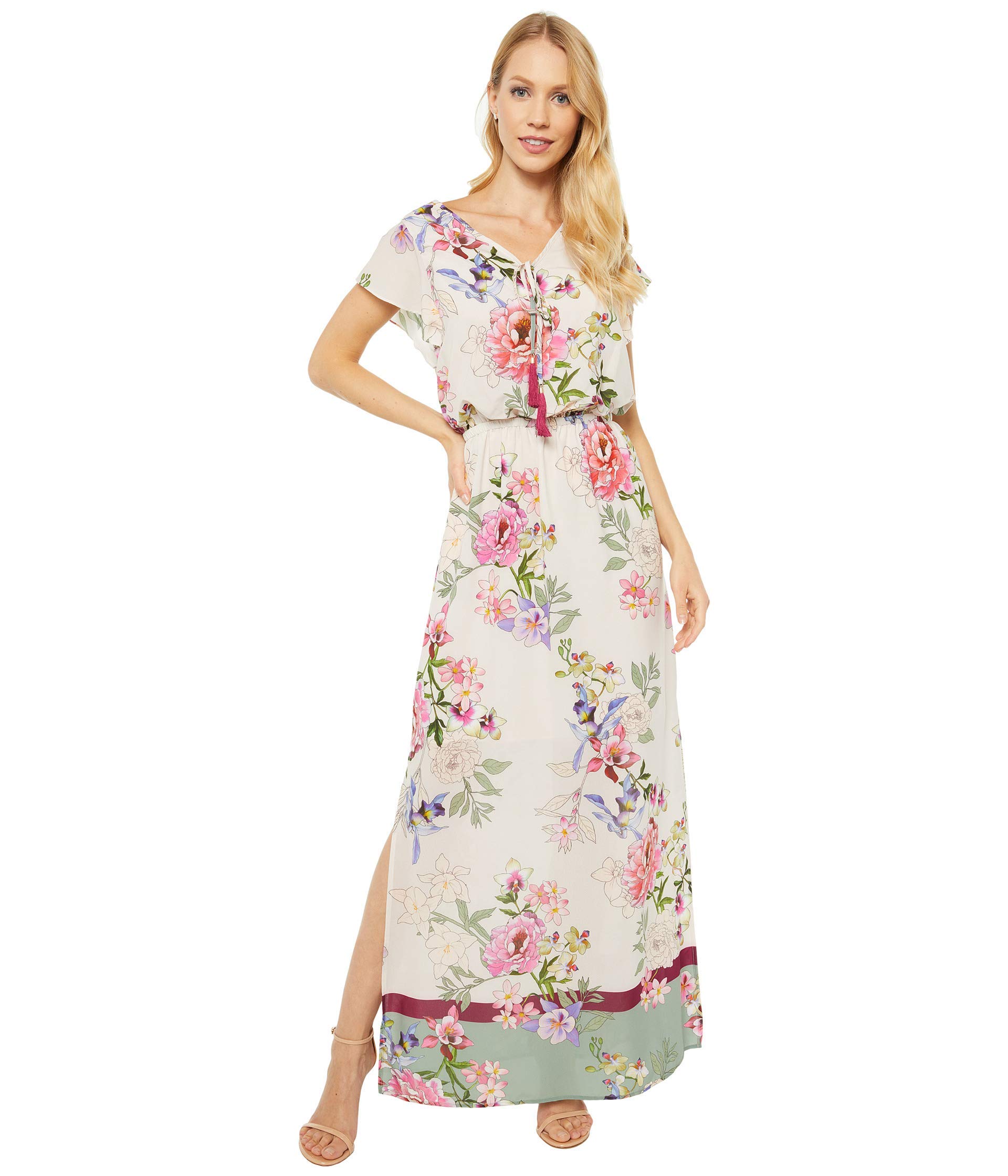 Adrianna Papell Women's Floral Border Print Maxi Dress