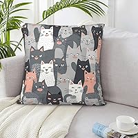 Throw Pillow Covers 12