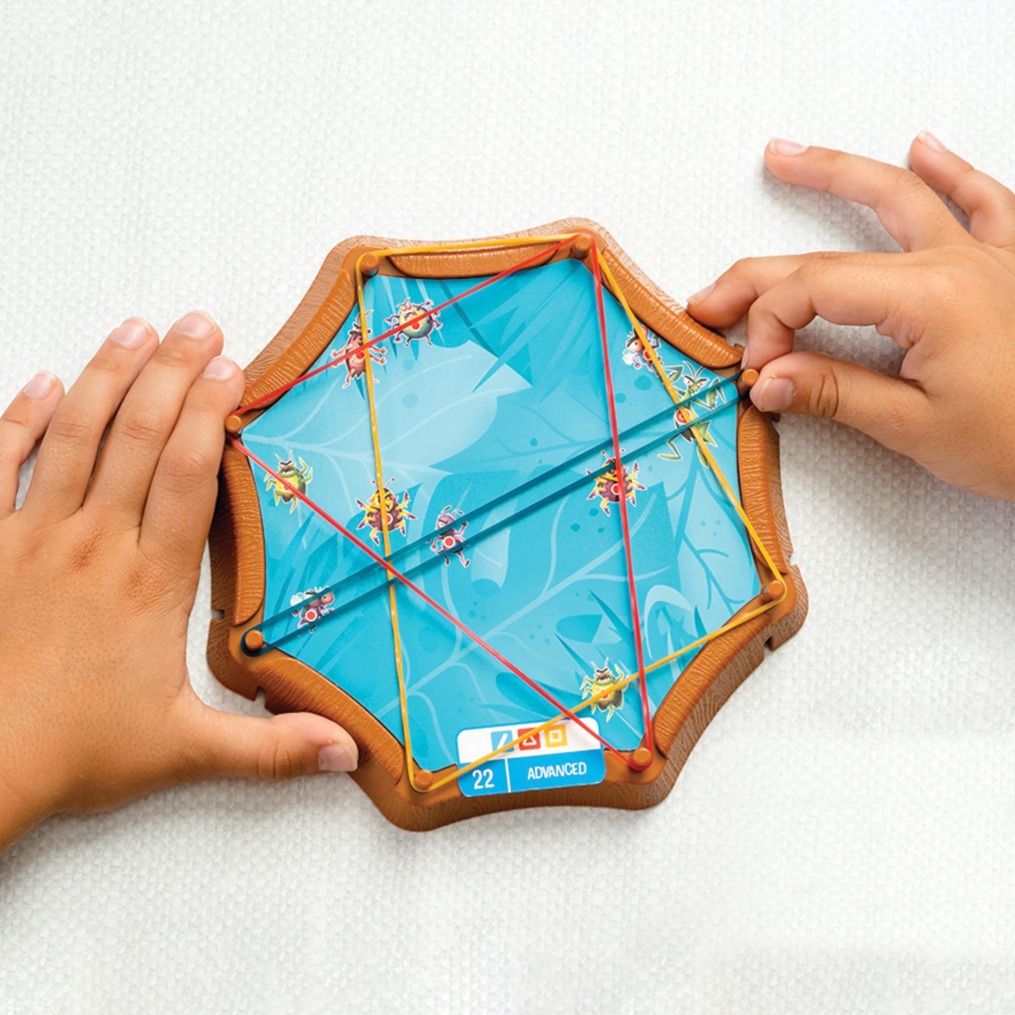 Spiderweb: A Bug-Catching Logic Game for Ages 8+