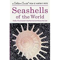  Hemoton Shell Jewelry Dish Sea Shells Jewelry Dish