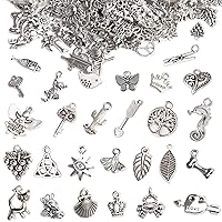 BigOtters 200PCS Silver Alloy Charms, Silver Charms for Jewelry Making Silver Metal Charms Pendants DIY for Necklace Bracelet Jewelry Crafting