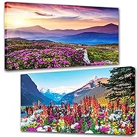 TOCARE 2 Pack Diamond Art Kits for Adults, Mountains Diamond Painting Kits Flowers, Large Size Diamond Art Kits for Adults Nature Scenery 16x28inch Home Wall Decor