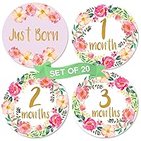 Novo Baby Girl Monthly Milestone Stickers | Set of 20 Floral Gold Stickers | Birth to 12 Months + 8 Bonus Achievement Stickers | Shower Gift for Girl