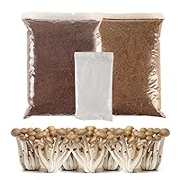 Mushroom Substrate 1.1lbs Coco Coir 1.1lbs Vermiculite 0.22lb Gypsum CVG Mix Kit for Mushroom Growing Produces 10 Pounds of Premium Substrate Manure