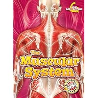 The Muscular System (Your Body Systems: Blastoff! Readers, Level 3)