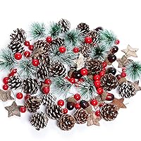 108pcs Artificial Pine Cones Pine Branch Set, Fake Natural Pinecones Acorns Red Berries Christmas Decor Ornaments for Home Winter Decorations (108, Multicolor)