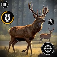 Animal Hunting Games 3D