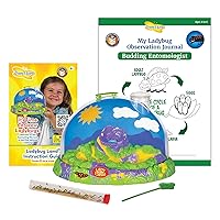 Insect Lore Live Ladybug Growing Kit Toy, Observation Skills
