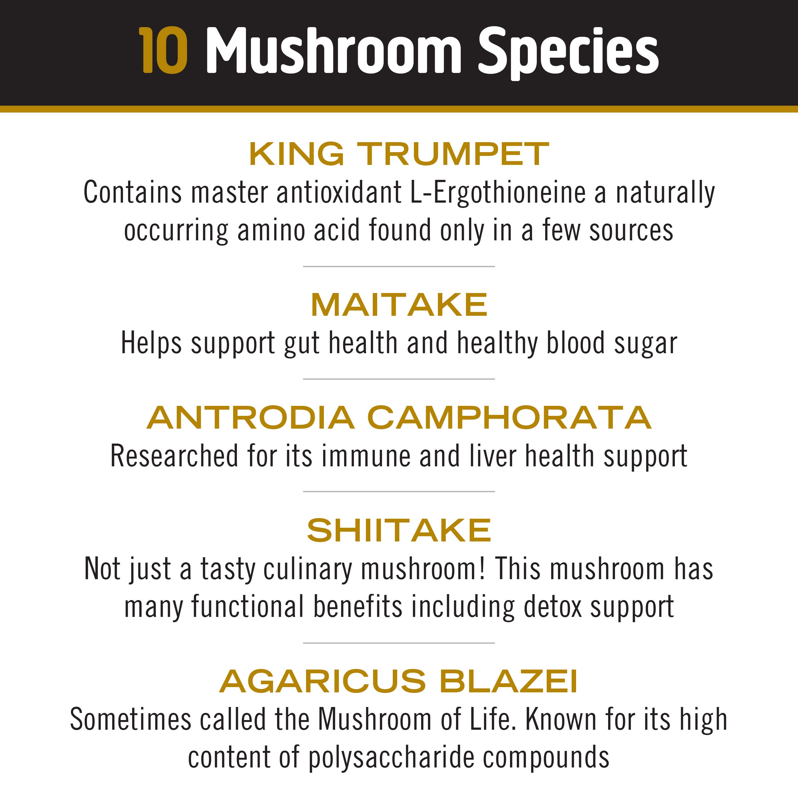 Om Mushroom Superfood Master Blend Mushroom Powder Supplement, 3.17 Ounce, 34 Servings, 10 Mushroom Complex, Lions Mane, Chaga, Cordyceps, Reishi Extract Adaptogens for Vibrant Health, Immune Support