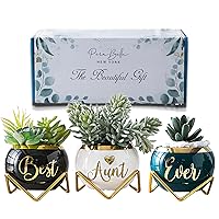 Perabella House Warming Gifts New Home - Best Housewarming Gifts, Housewarming Gifts for New House, Home Essentials for New Home Gift Ideas, Home