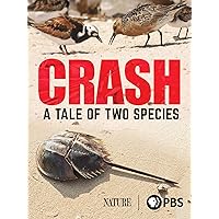 Crash: A Tale of Two Species