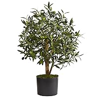 Nearly Natural 29in. Olive Artificial Tree
